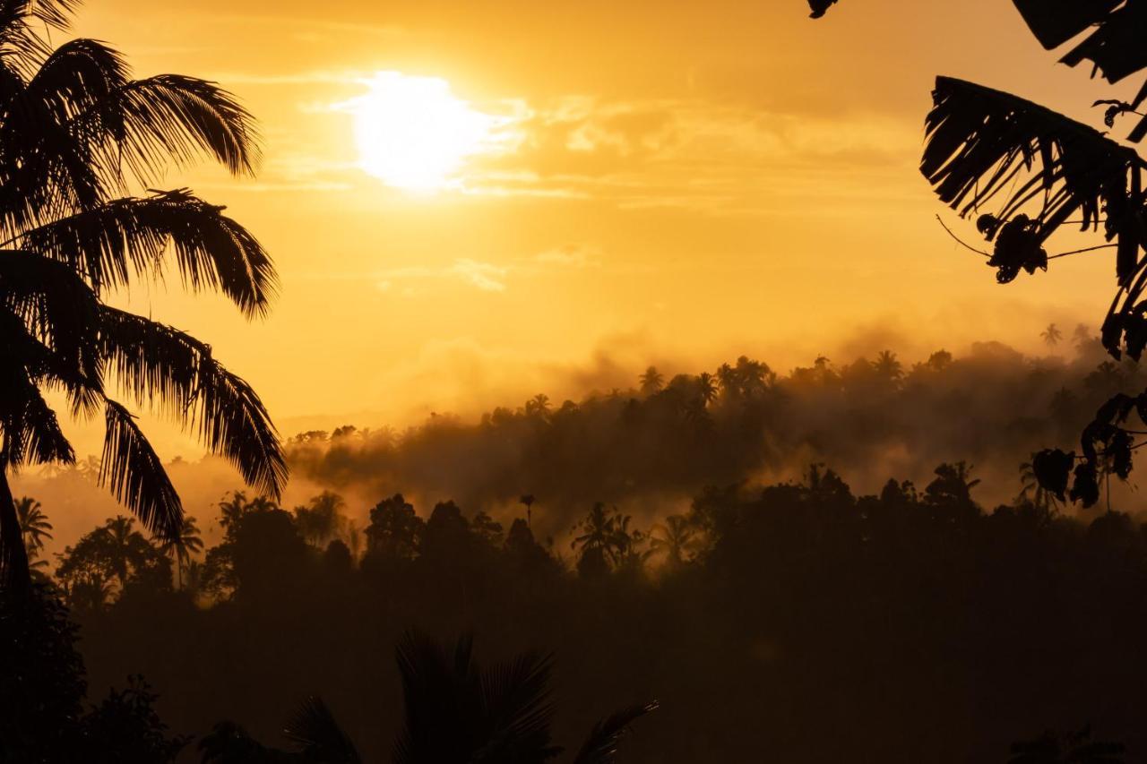 Sanda Plantation Hideaway エクステリア 写真