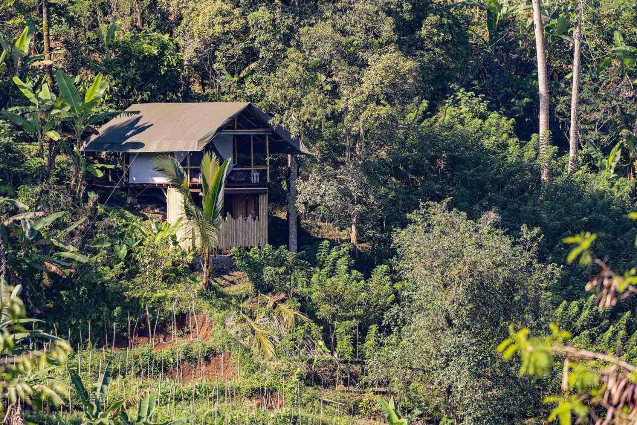 Sanda Plantation Hideaway エクステリア 写真