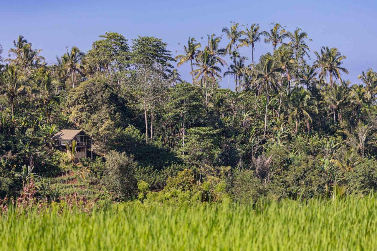 Sanda Plantation Hideaway エクステリア 写真